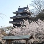 5 Tips Berwisata ke Aichi, Jepang: Datang Saat Musim Sakura