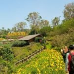 Rainbow Garden Lembang: Surganya Spot Foto Menarik untuk Pecinta Instagram