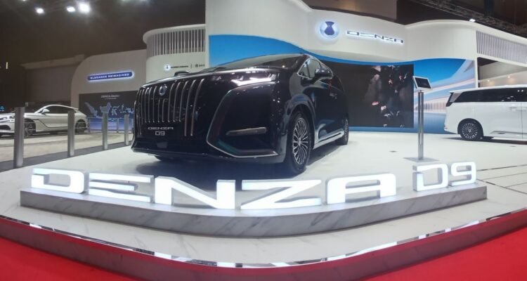 Denza D9
